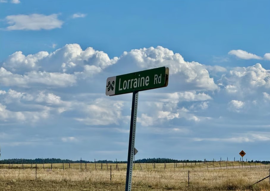 Land for Sale in Larkspur Colorado 80118